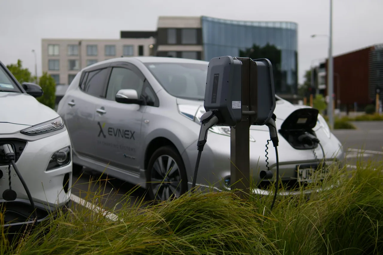 Multiple electric vehicles parked and charging on a city street, representing the global EV sales competition between BYD and Tesla