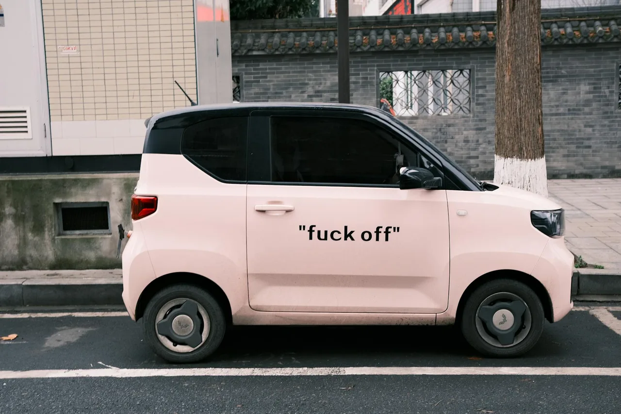 Chinese EVs in Canada: The Security Politics vs. the Real Value
