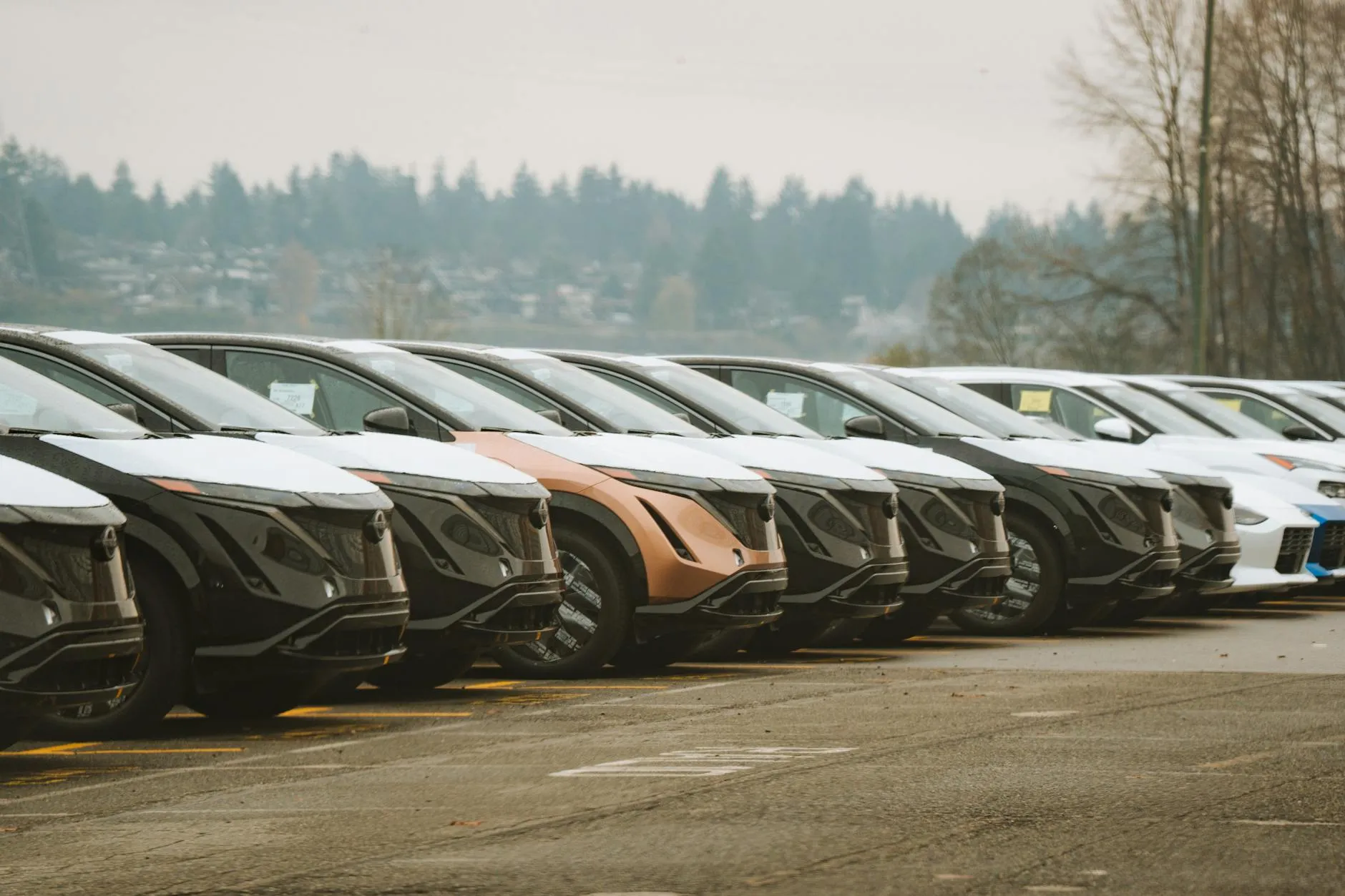 Row of electric vehicles at a dealership showing growing EV inventory and consumer choice
